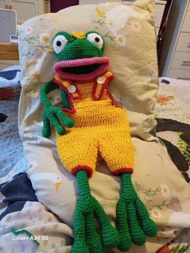 Froggy Bag Crochet Pattern photo review
