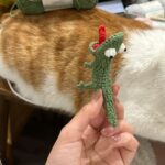 2in1 Funny Meme Lizard Crochet Pattern photo review