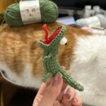 2in1 Funny Meme Lizard Crochet Pattern photo review