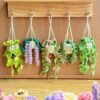 5 plant hanger bundle patterns